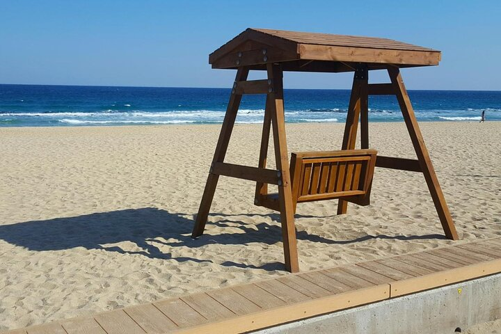 Gangneung Haslla Art World, Jungang Market, Anmok Beach Day Tour - Photo 1 of 9